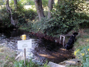 Tip na výlet: Vydejte se Stezkou k pramenům Počátek. Trasa nabídne odpočinek i kvalitní pitnou vodu