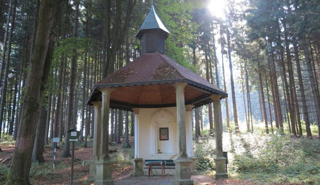 Vydejte se Stezkou k pramenům Počátek. Trasa nabídne odpočinek i kvalitní pitnou vodu