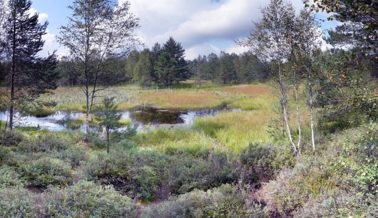 Po stopách největšího rašeliniště. Dvouhodinová procházka s 12 zastávkami a krásnými výhledy