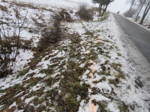 SJÍZDNOST: Silnice jsou pokryté sněhem, problémy jsou na Hosově i u Kostelce