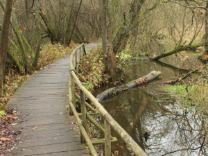 Tip na výlet: Pět kilometrů kolem Zelené hory. Na své si přijdou fotografové i milovníci historie