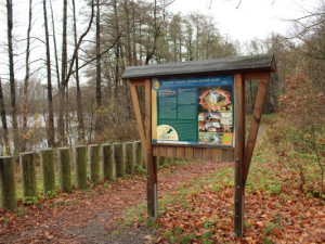 Tip na výlet: Pět kilometrů kolem Zelené hory. Na své si přijdou fotografové i milovníci historie