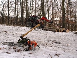 Heulosem se rozléhá zvuk motorových pil. Stromy s tečkou musí jit co nejdříve k zemi