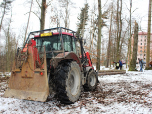 Heulosem se rozléhá zvuk motorových pil. Stromy s tečkou musí jit co nejdříve k zemi