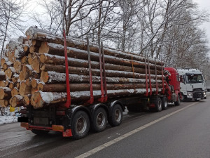 Mladý řidič převážející dřevo dnes na I/38 dostal pokutu 100 tisíc korun. Při kontrole odmítl vážení
