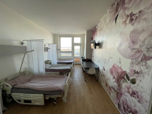 Ženy před porodem mají v jihlavské nemocnici dva opravené pokoje. Jsou v nich nové koupelny a výrazné tapety