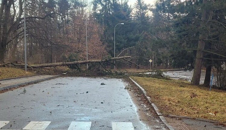Na Vysočině je bez elektřiny několik tisíc domácností, vítr komplikuje i dopravu