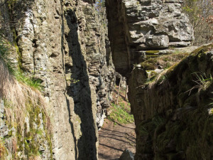 Tip na výlet: Rozštípená skála, ráj nejen pro horolezce. Památka, kterou střeží Olšiakův mamut