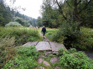Tip na výlet: Rozštípená skála, ráj nejen pro horolezce. Památka, kterou střeží Olšiakův mamut