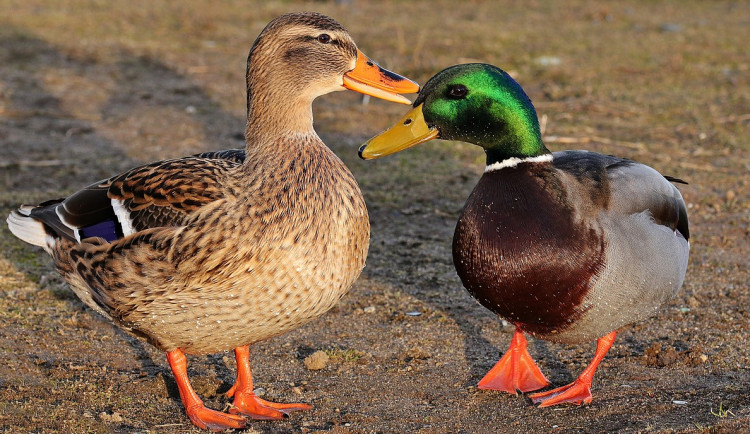 16452815916866-152-drake-g8a119b7bb-1280