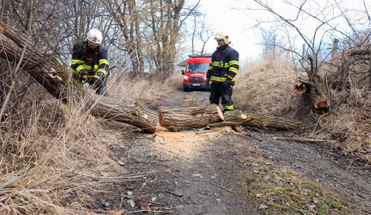 16453595000202-152-274194086-5556953594334429-7411250325274184878-n