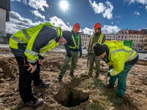 Objev nové šachtice