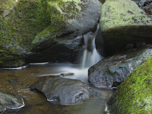 Pramen Dyje u Panenské Rozsíčky
