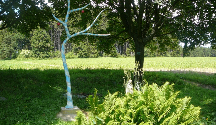 Pramen Dyje u Panenské Rozsíčky