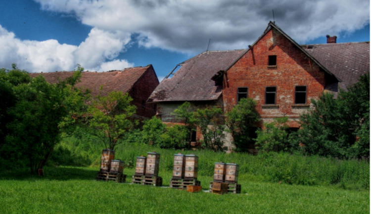 O zámek Skřivánek nikdo nejeví zájem, dnes je vybydlený a plný odpadků. Vlastnili ho i dva Jihlavané