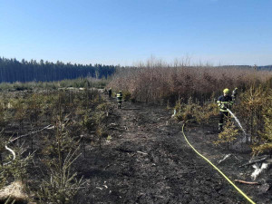 Devět jednotek dopoledne bojovalo s velkým požárem lesního porostu. Byl vyhlášen třetí stupeň poplachu