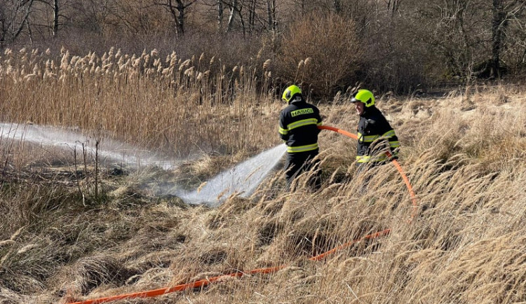 1647251454021-152-275420942-381891253412559-3808200520099503869-n