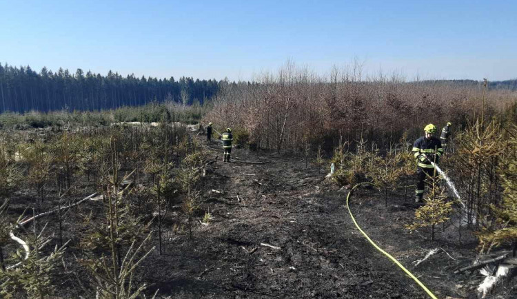 Devět jednotek dopoledne bojovalo s velkým požárem lesního porostu. Byl vyhlášen třetí stupeň poplachu