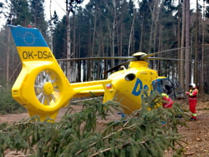 Vrtulník dnes dopoledne letěl do lesa ke zraněnému muži. Během kácení na něj spadla větev