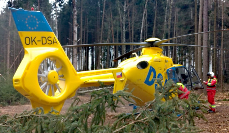 Vrtulník dnes letěl do lesa ke zraněnému muži. Během kácení na něj spadla větev