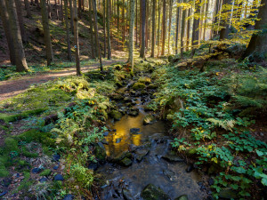 Tip na výlet: Údolím řeky Doubravy