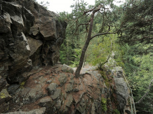 Tip na výlet: Vzpomínka na Ignáta Herrmanna a čertovská pověst. Projděte si údolí řeky Doubravy