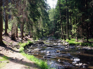 Tip na výlet: Vzpomínka na Ignáta Herrmanna a čertovská pověst. Projděte si údolí řeky Doubravy