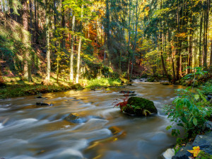 Tip na výlet: Vzpomínka na Ignáta Herrmanna a čertovská pověst. Projděte si údolí řeky Doubravy