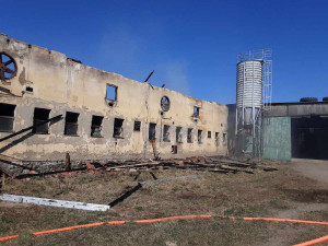 Při požáru kravína na Jihlavsku se zranili tři lidé, z toho dva hasiči. Z hořícího objektu bylo třeba vyvést 179 býků