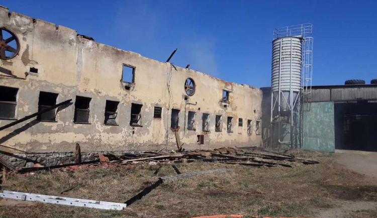 Při požáru kravína na Jihlavsku se zranili tři lidé, z toho dva hasiči. Z hořícího objektu bylo třeba vyvést 179 býků