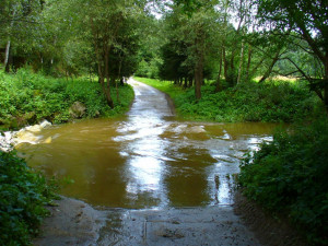 Tip na výlet: Balinské údolí pěšky i na kole. Po cestě potkáte třeba vydru nebo ledňáčka