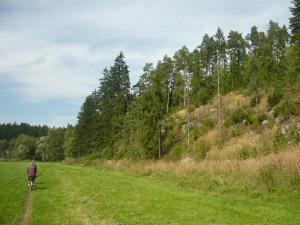 Tip na výlet: Balinské údolí pěšky i na kole. Po cestě potkáte třeba vydru nebo ledňáčka