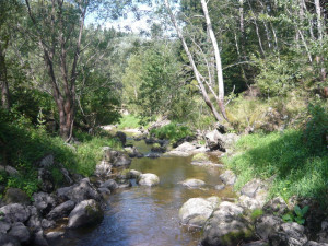 Tip na výlet: Balinské údolí pěšky i na kole. Po cestě potkáte třeba vydru nebo ledňáčka