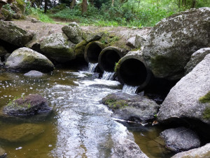 Tip na výlet: Balinské údolí pěšky i na kole. Po cestě potkáte třeba vydru nebo ledňáčka