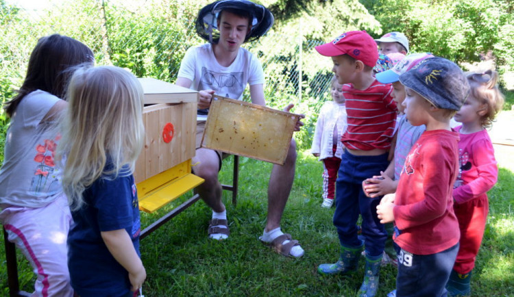 Včelí stezka ve Smrčné