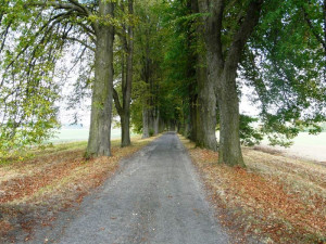 Tip na výlet: Za historií počáteckého soukenictví a k nejčistšímu pramenu Pelhřimovska