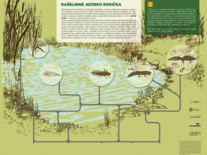 Přírodní památky Vysočiny mají nové interaktivní panely. Turisté tak poznají chráněné živočichy a rostliny