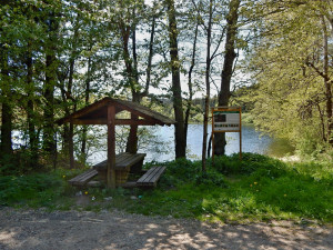 Tip na výlet: Rybníky V Pouštích. Místo, kde mají domov čolci, žáby a kde hladiny zdobí lekníny