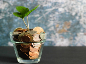 Investiční fondy – jak fungují a na co si dát pozor?