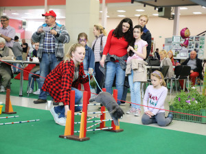 Vyhrajte vstupenky na výstavu HOBBY