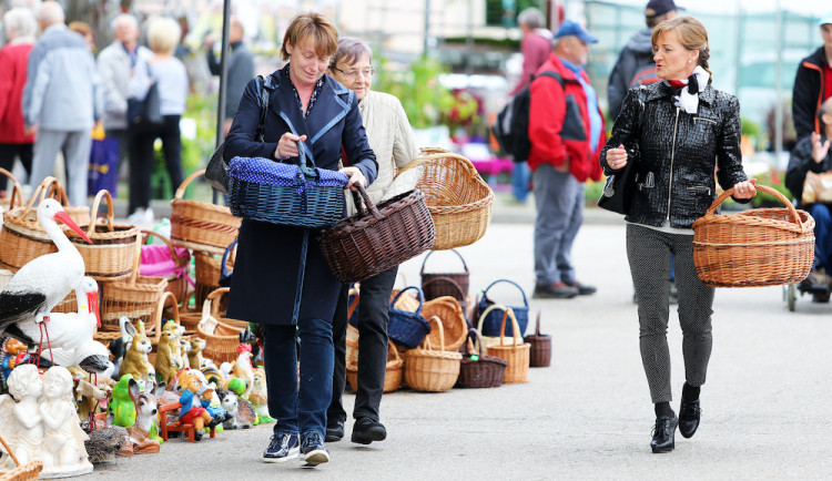 Vyhrajte vstupenky na výstavu HOBBY