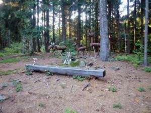Tip na výlet: Vyšlápněte si na Dědkovskou horu. Za odměnu dostanete pěkný výhled na Meziříčskou kotlinu