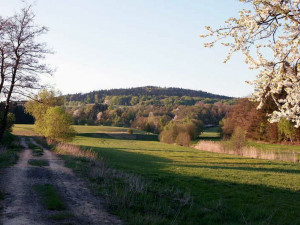 Tip na výlet: Vyšlápněte si na Dědkovskou horu. Za odměnu dostanete pěkný výhled na Meziříčskou kotlinu