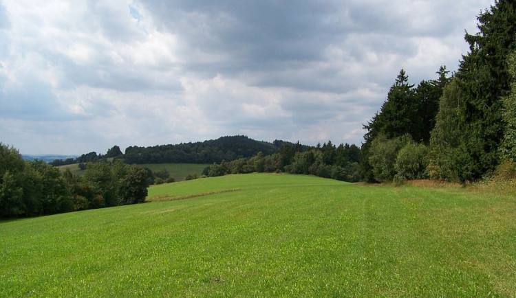 Vyšlápněte si na Dědkovskou horu. Za odměnu dostanete pěkný výhled na Meziříčskou kotlinu