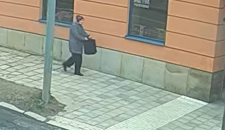 Vandal opakovaně poškodil Peugeota na Dvořákově ulici. Policie hledá ženu na fotce a další svědky