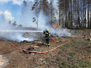 FOTO: Rozsáhlý požár lesa a hrabanky v Rohozné. Podívejte se na fotky ze zásahu