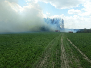 FOTO: Rozsáhlý požár lesa a hrabanky v Rohozné. S plameny bojovalo deset jednotek hasičů