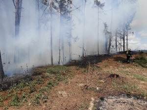 FOTO: Rozsáhlý požár lesa a hrabanky v Rohozné. S plameny bojovalo deset jednotek hasičů