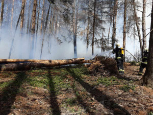 FOTO: Rozsáhlý požár lesa a hrabanky v Rohozné. S plameny bojovalo deset jednotek hasičů