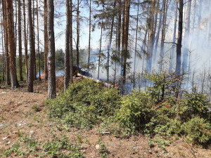 FOTO: Rozsáhlý požár lesa a hrabanky v Rohozné. S plameny bojovalo deset jednotek hasičů